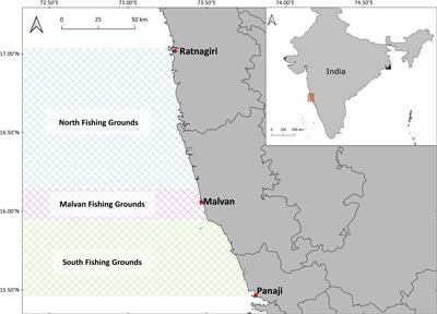 Mitigation of Elasmobranch Bycatch in Trawlers: A Case Study in Indian Fisheries